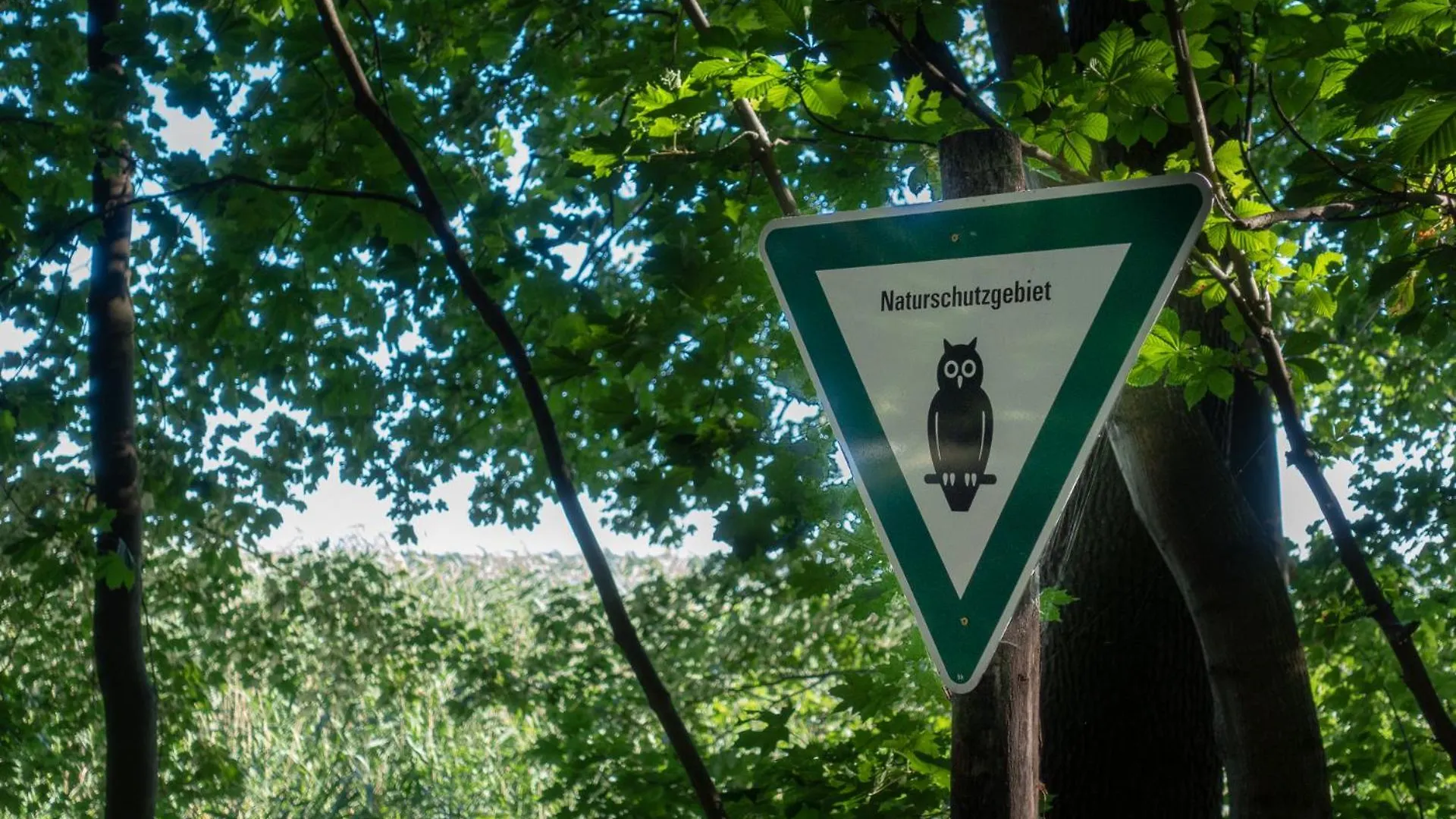 Ferienpark Ruebezahl Am Mueggelsee, Haus 22 Heide Mit Eigener Sauna, Idealer Ort Fuer Natur- Und Erholungssuchende, Fuer Radfahrer, Familien Mit Kindern Und Hundeliebhaber Berlin Hébergement de vacances