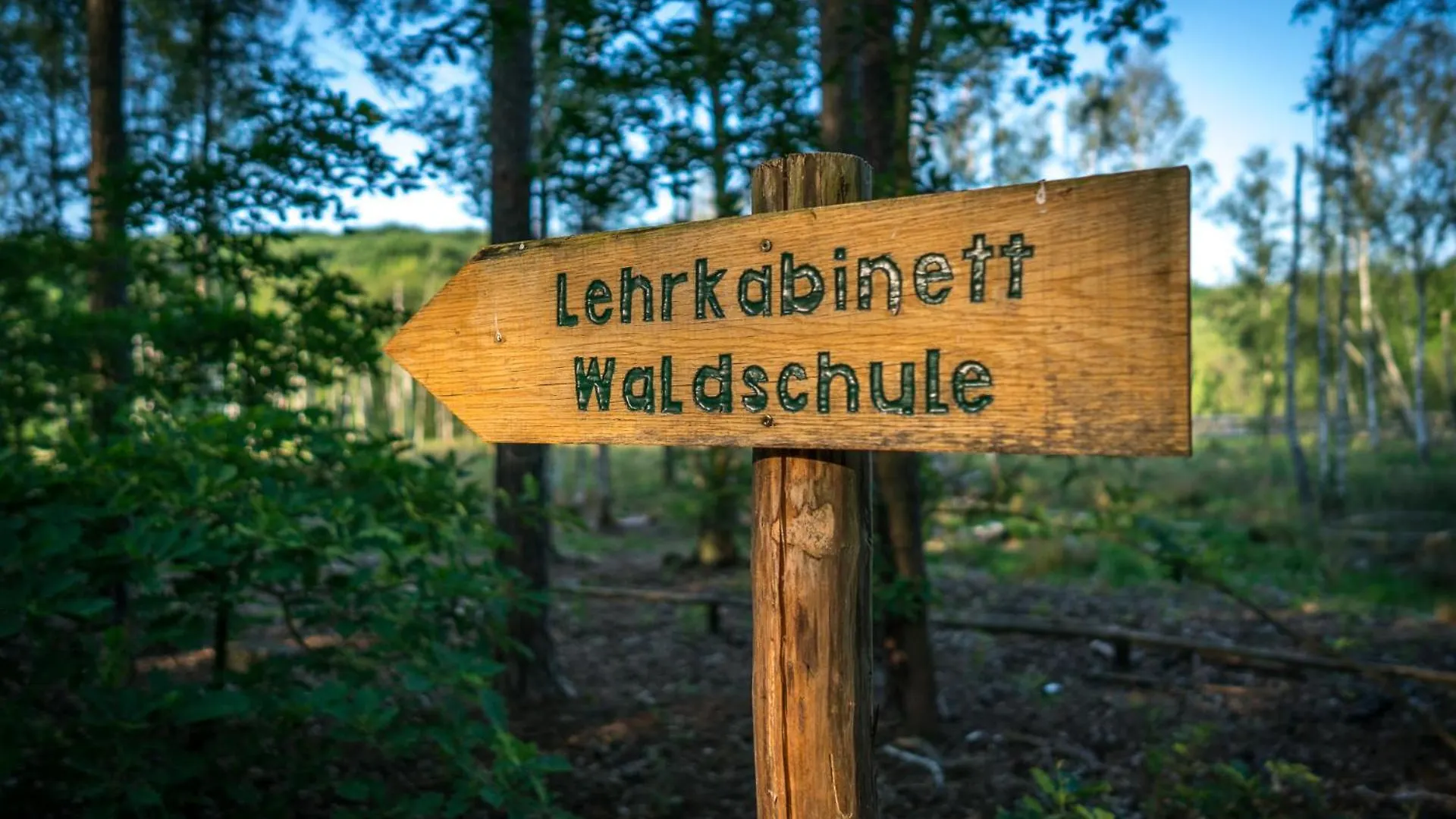Ferienpark Ruebezahl Am Mueggelsee, Haus 22 Heide Mit Eigener Sauna, Idealer Ort Fuer Natur- Und Erholungssuchende, Fuer Radfahrer, Familien Mit Kindern Und Hundeliebhaber Berlin Allemagne