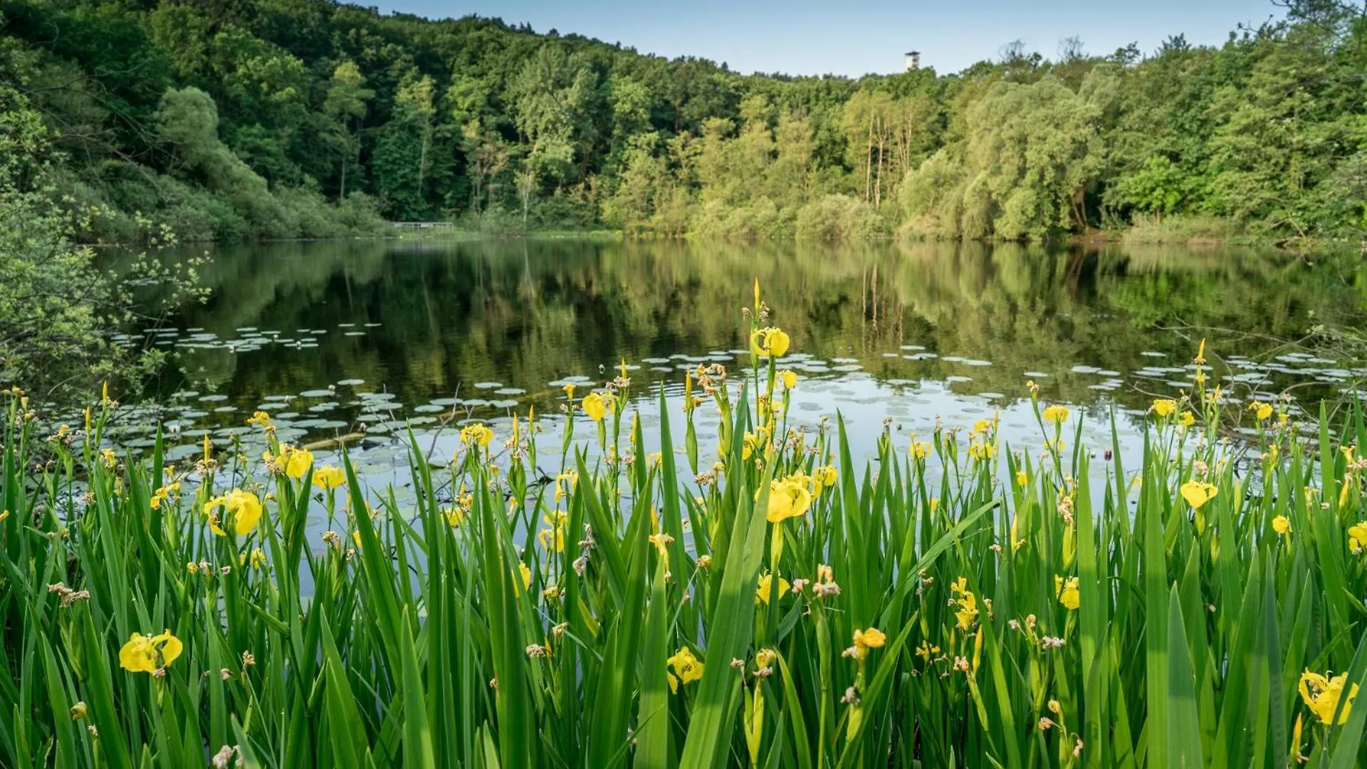 Ferienpark Ruebezahl Am Mueggelsee, Haus 22 Heide Mit Eigener Sauna, Idealer Ort Fuer Natur- Und Erholungssuchende, Fuer Radfahrer, Familien Mit Kindern Und Hundeliebhaber Berlin